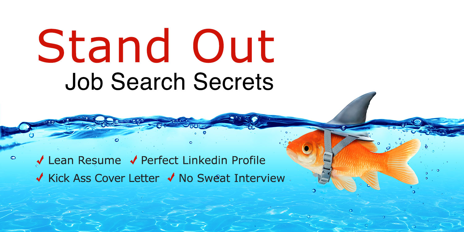 Stand Out Job Search Secrets