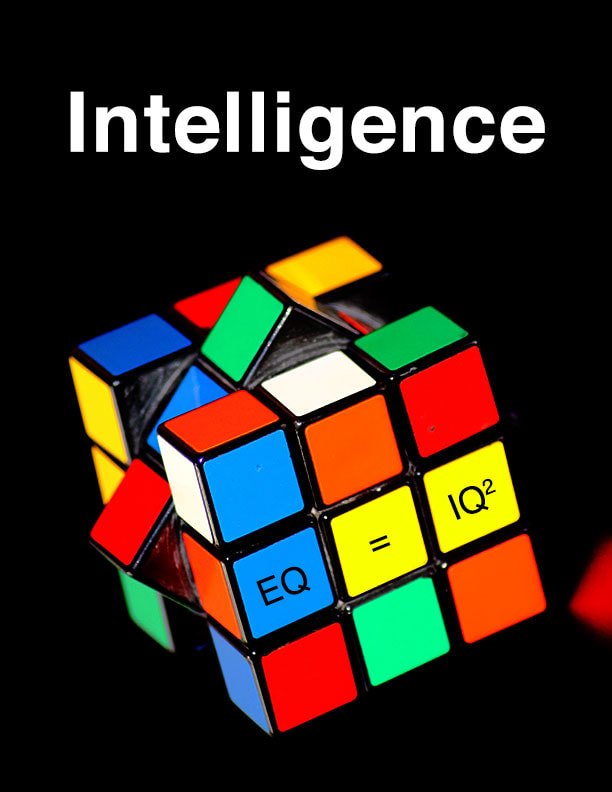 3 - Intelligence